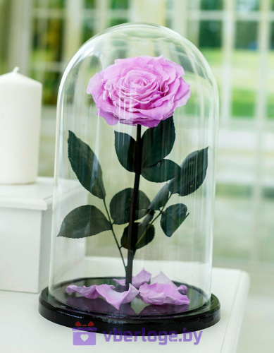 Сиреневая роза в колбе 32 см, Lilac Vip