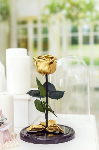 Роза в колбе 28 см, Gold Edition Premium