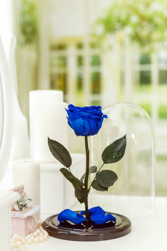 Роза в колбе 28 см, Royal Blue Elegant