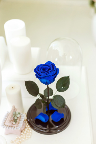 Роза в колбе 28 см, Royal Blue Elegant